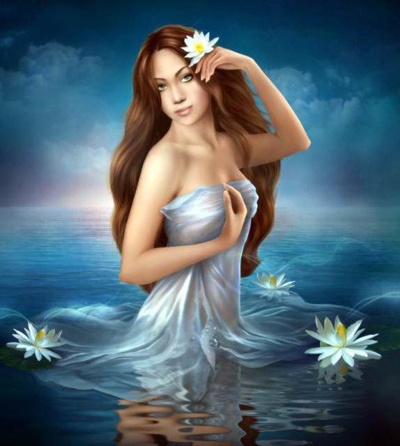 №496526 - оригинал