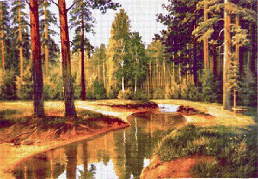 сосновый лес - пейзаж, лес, речка - предпросмотр