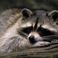 Оригинал схемы вышивки «№496667»