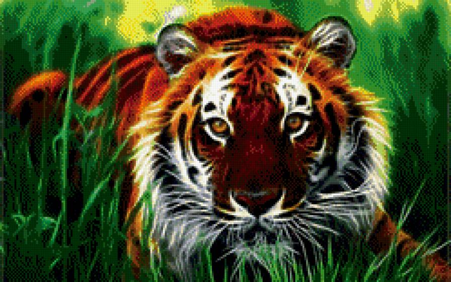 тигр - тигр, животные - предпросмотр