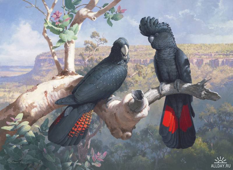 Серия "Птицы" - попугаи, птицы, пейзаж - оригинал