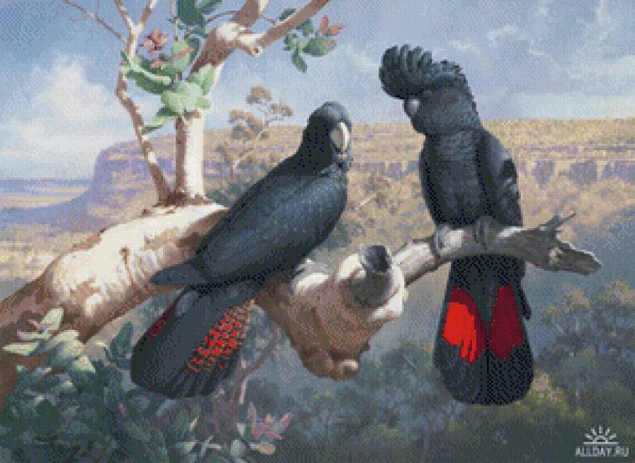 Серия "Птицы" - птицы, попугаи, пейзаж - предпросмотр