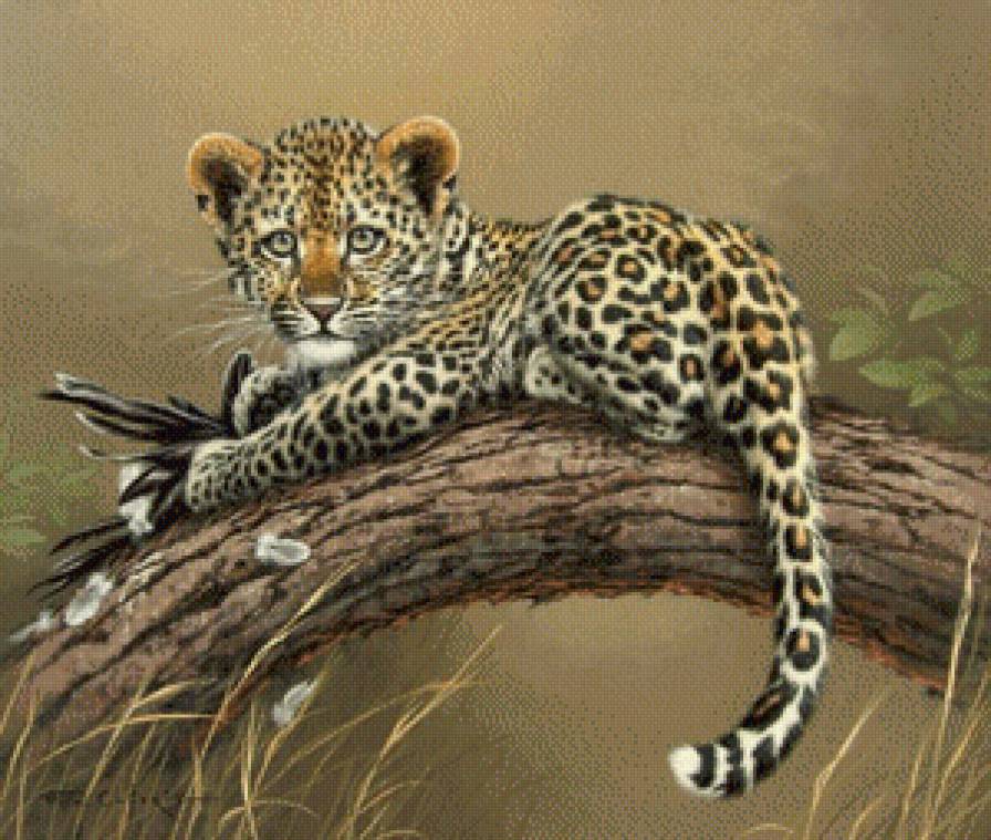 эти забавные животные - предпросмотр