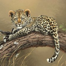 эти забавные животные