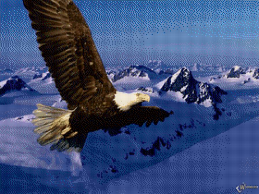 орел на фоне гор - горы, птицы - предпросмотр