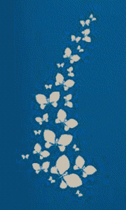 бабочки - предпросмотр