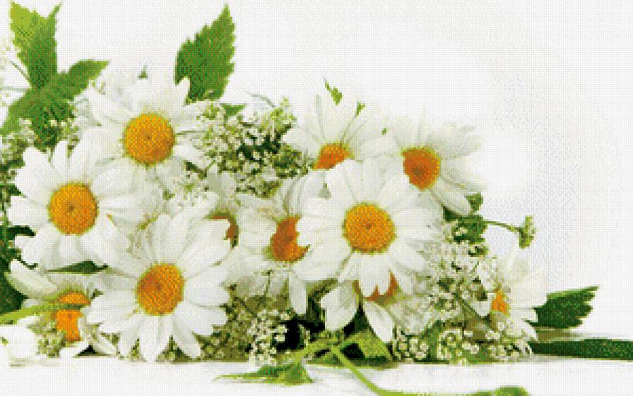 №497073 - предпросмотр