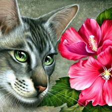 Кошка и Цветы