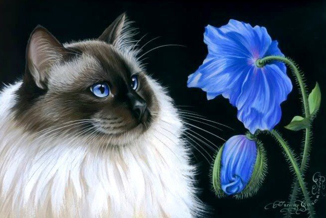 Кошка и Цветы - кот, животное, пейзаж, картина, кошка, цветы - оригинал