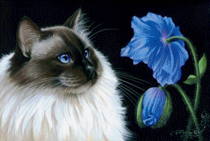 Кошка и Цветы - кот, цветы, пейзаж, картина, кошка, животное - предпросмотр