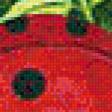 Предпросмотр схемы вышивки «Букашки» (№497217)