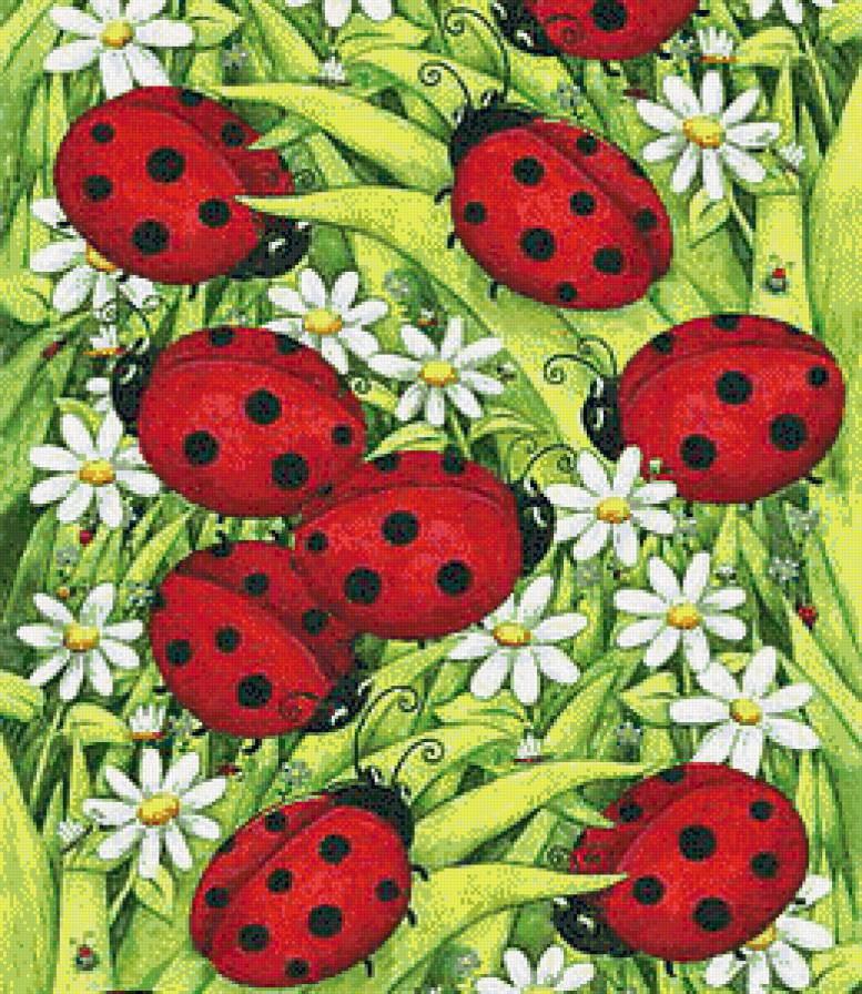 Букашки - божьи коровки, букашки, ромашки - предпросмотр