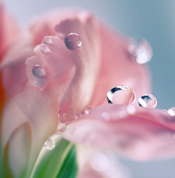 №497338 - оригинал