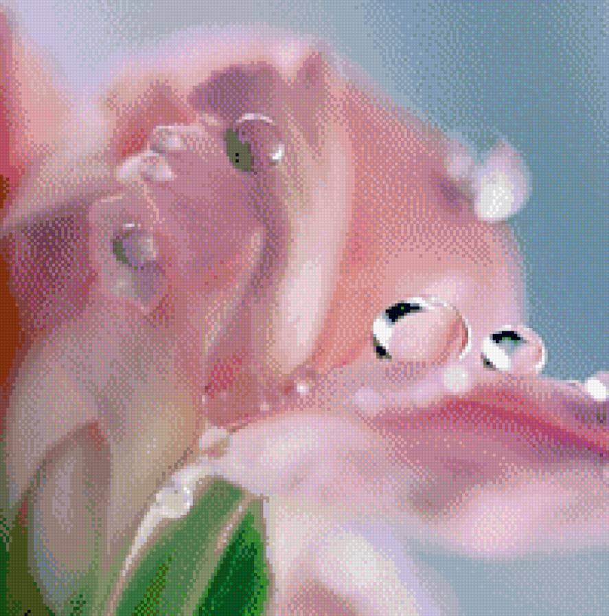 №497338 - предпросмотр