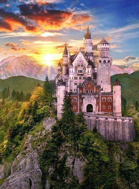 №497361 - оригинал