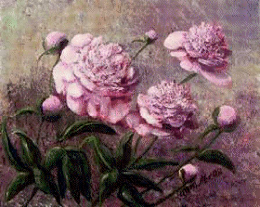 peonie - ziwopis, cwety, peonie - предпросмотр