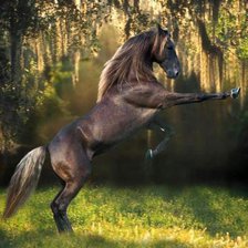 Схема вышивки «№497487»