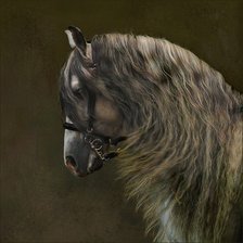 Схема вышивки «№497498»