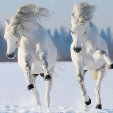 Схема вышивки «№497502»