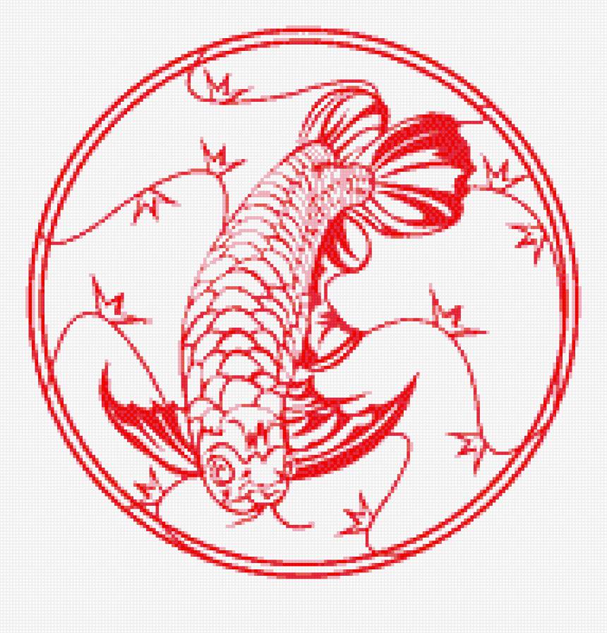Знак зодиака рыба год дракона. Арована фен шуй. Китайский дракон Арована. Амулет Арована. Рыба Арована фен шуй.