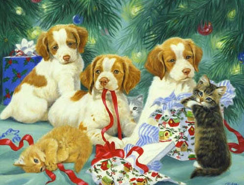 С новым годом! - кошки, новый год, зима, собаки - оригинал