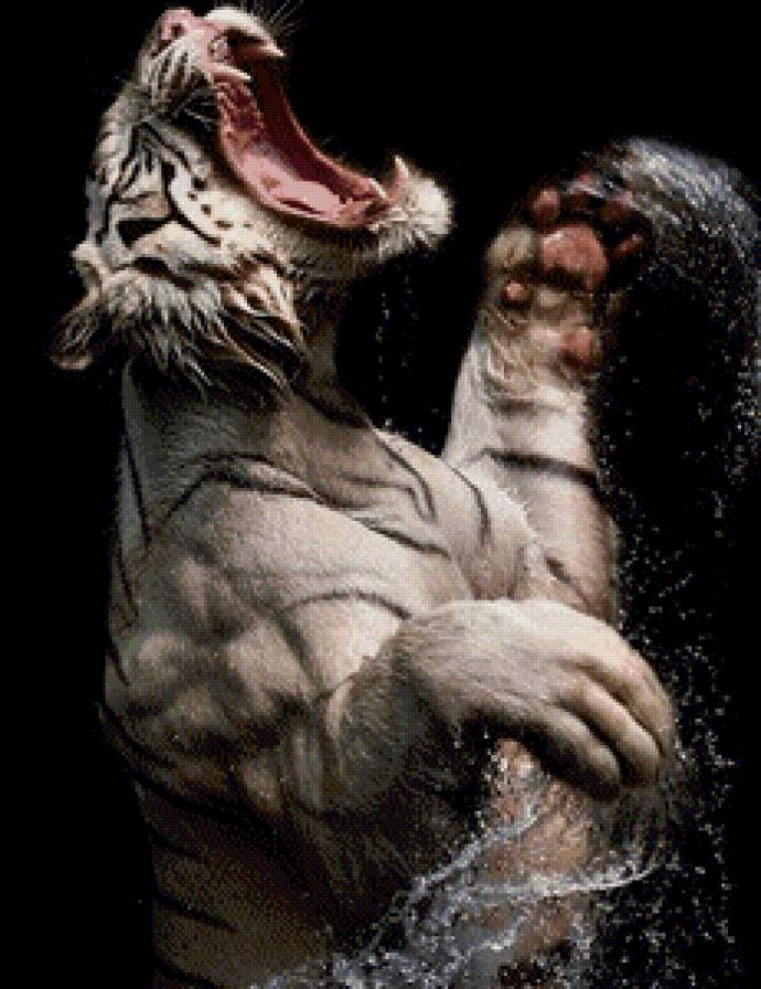 №497719 - предпросмотр