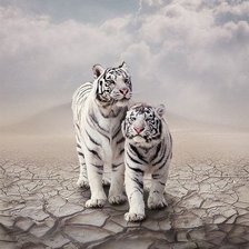 Схема вышивки «№497906»