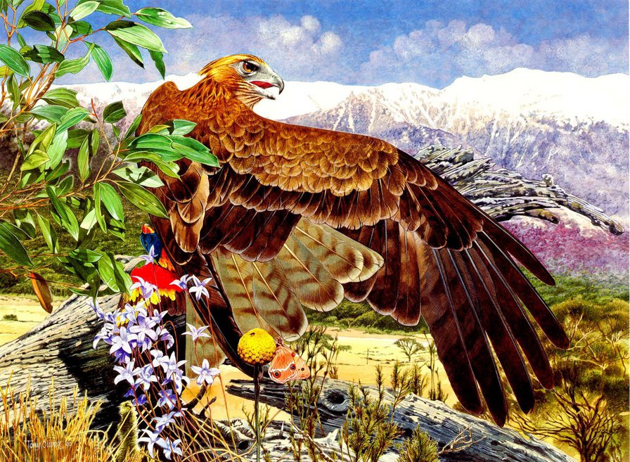 Орел - пейзаж, орел, природа, птицы - оригинал