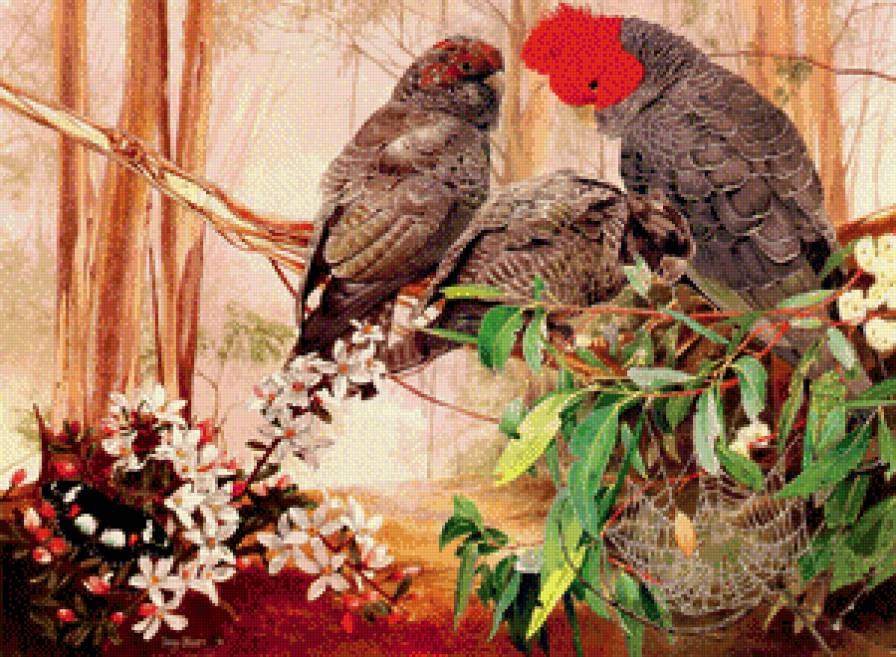 Птицы - природа, птицы, пейзаж - предпросмотр