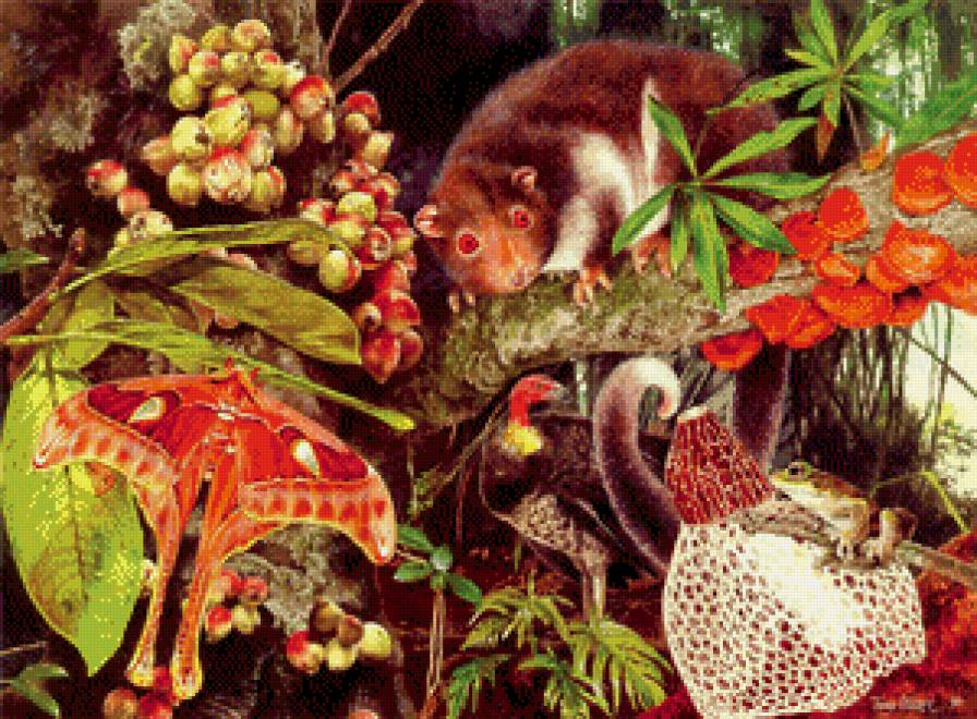 Тропики - природа, животные - предпросмотр