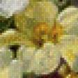Предпросмотр схемы вышивки «Букет с нарцисами» (№497922)