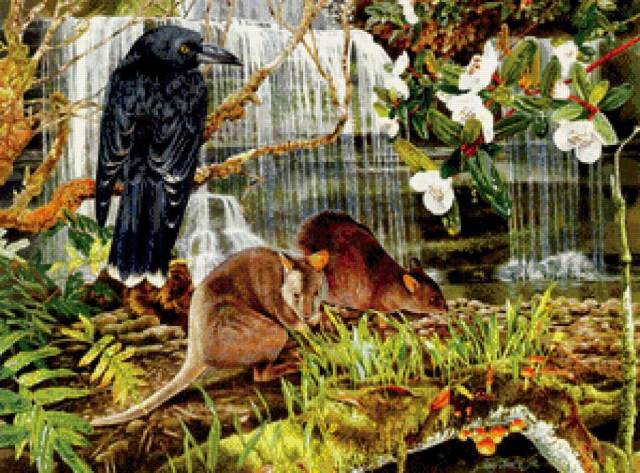 Ворон - природа, птица, животные, ворон - предпросмотр