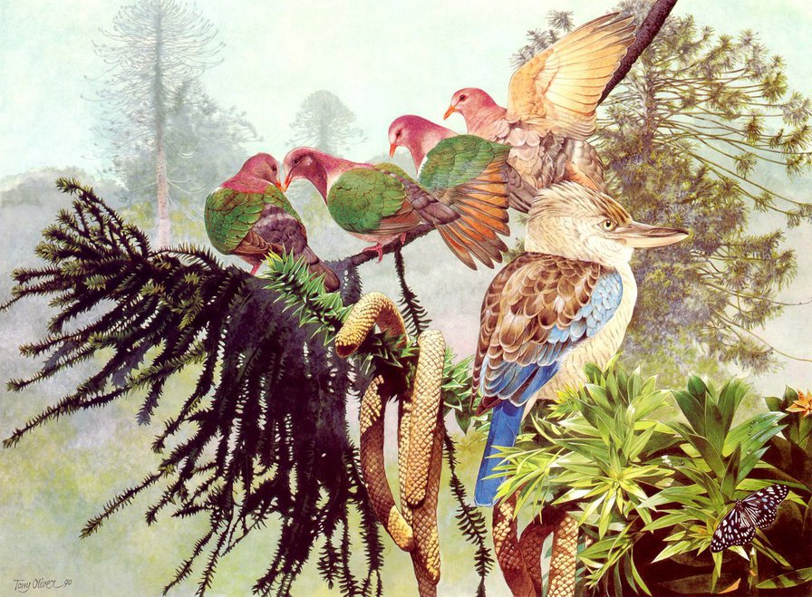 Лесные птицы - природа, птицы - оригинал