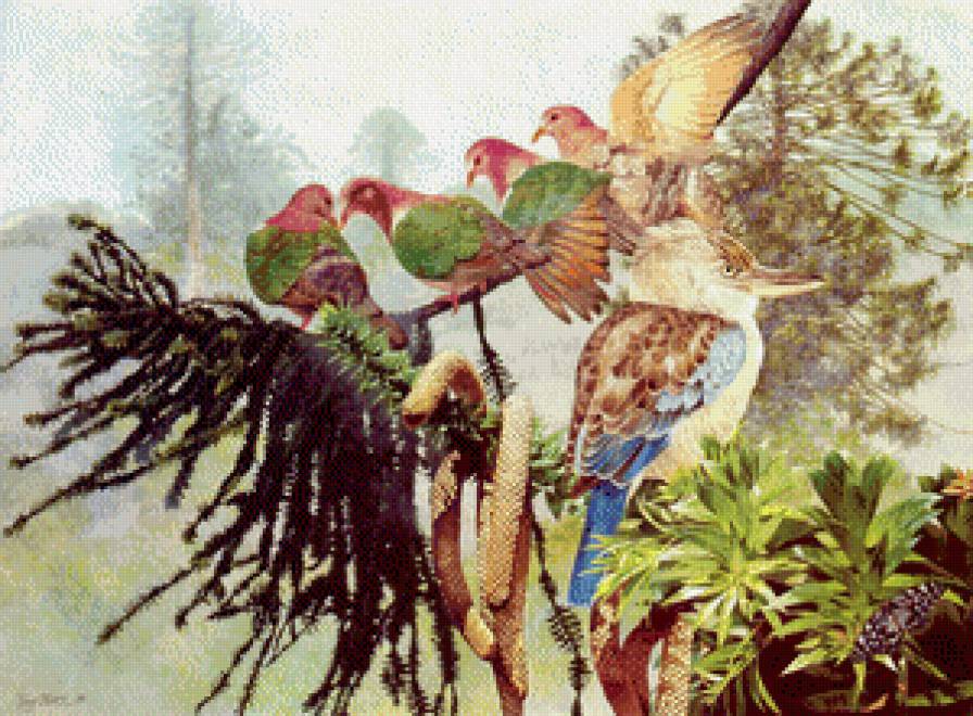 Лесные птицы - птицы, природа - предпросмотр