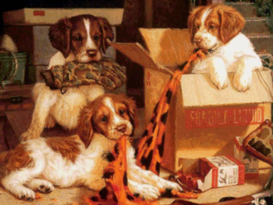 №497934 - животые - предпросмотр