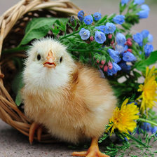 Схема вышивки «детя»