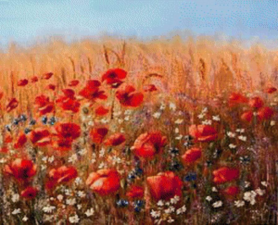 Maki na lące - ziwopis, cwety, maki - предпросмотр