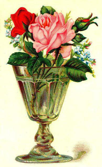 Розы - оригинал