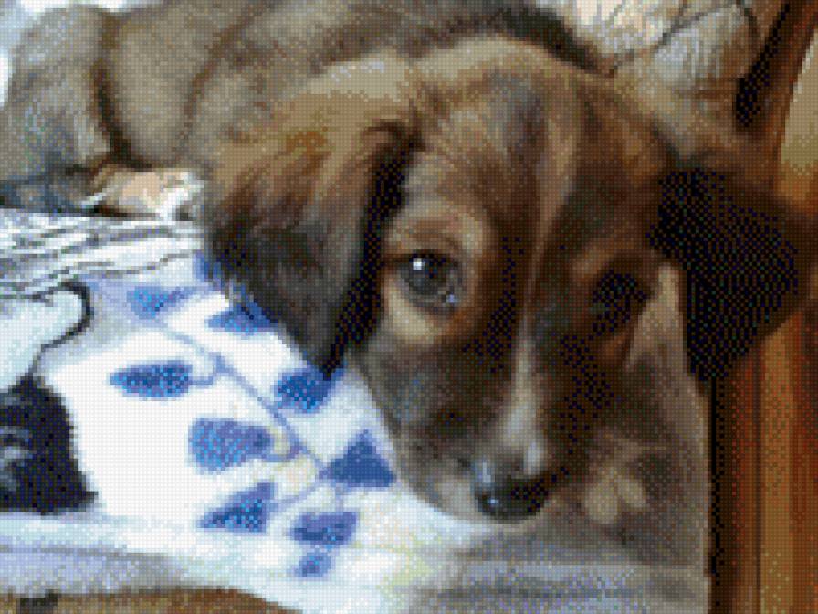 Виннэр - предпросмотр