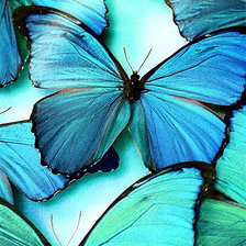 Схема вышивки «бабочки»