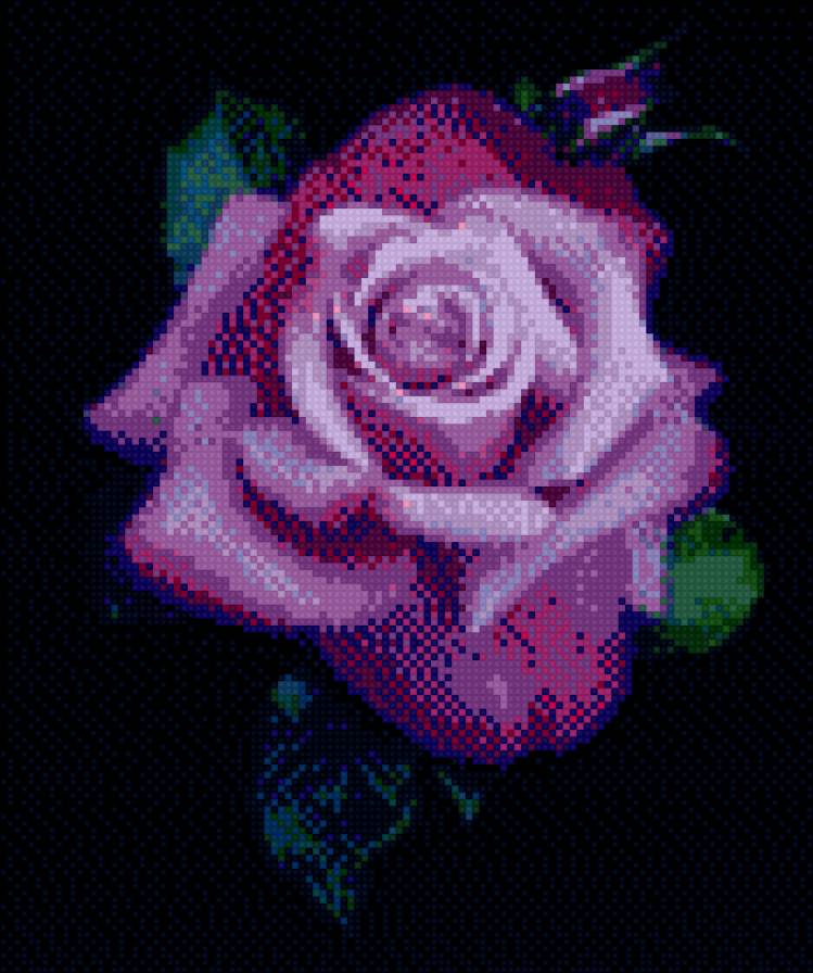 роза - цветы, роза - предпросмотр