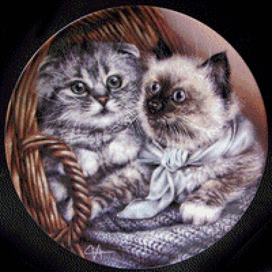 Котята - котята - предпросмотр