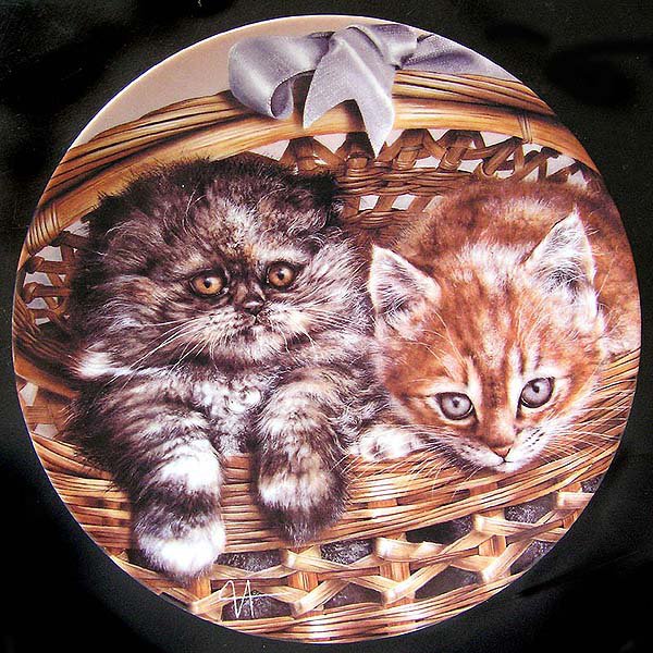 Котята - котята - оригинал