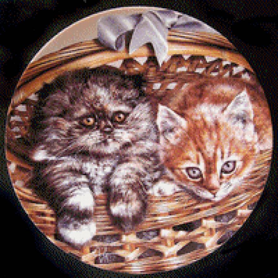 Котята - котята - предпросмотр