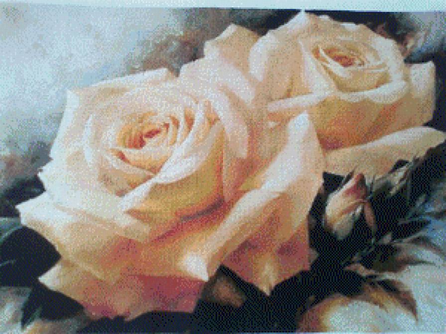 rozi - предпросмотр