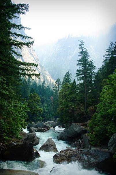 Горная речка - природа, камни, лес, река, туман, горы, сосны - оригинал