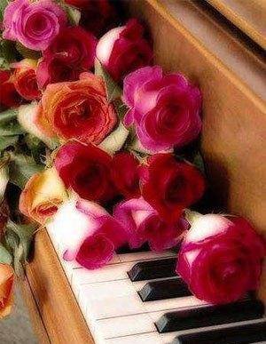 Розы на пианино - розы, музыка, пианино - оригинал