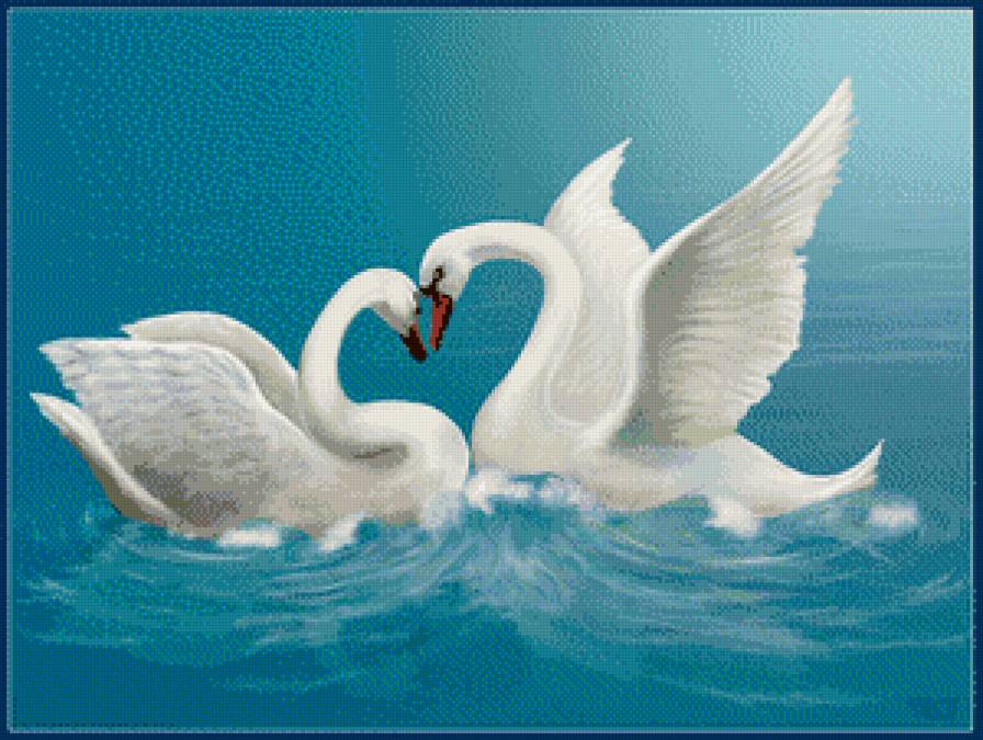 Лебеді кохання - лебеді - предпросмотр