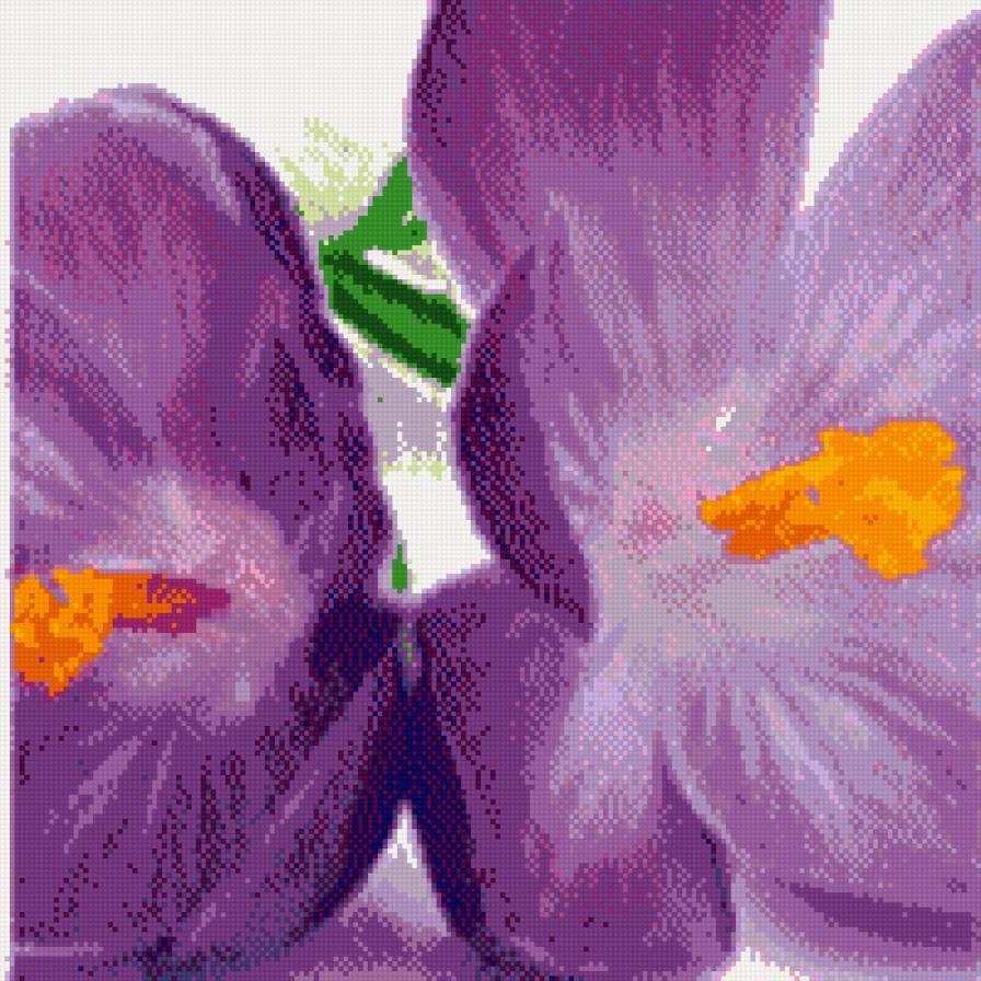 цветок 2 - предпросмотр