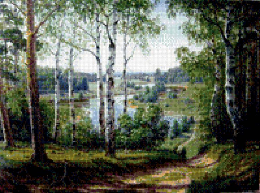 Березовая роща - предпросмотр